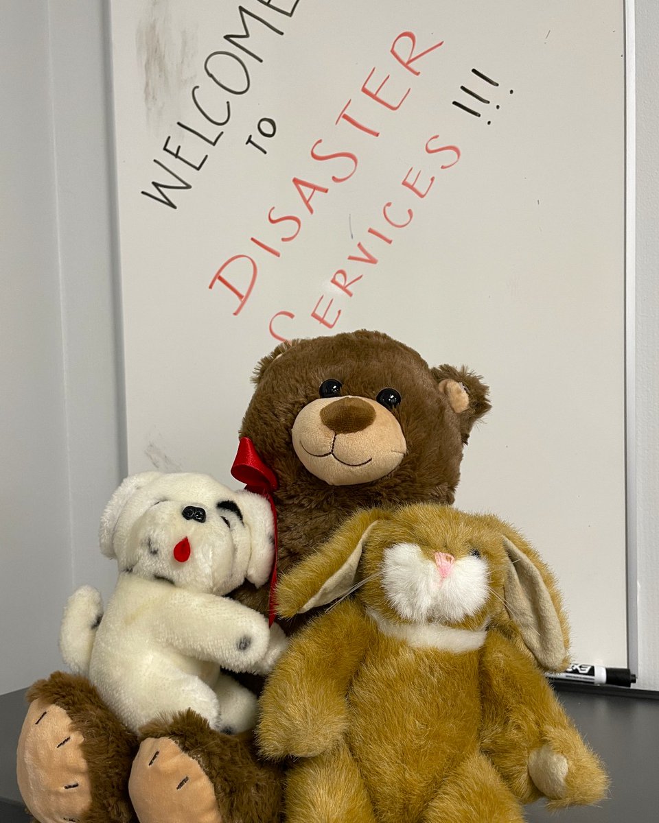 Tiffany Circle members recruited these adorable volunteers to help kids feel better after home fires and other disasters. Every day, the Red Cross works to alleviate human suffering in the face of emergencies. See more of what we did this year at rdcrss.org/475uCXh.