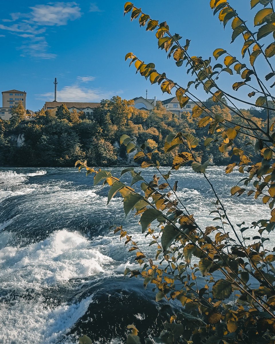 Snapdragon UK tweet media