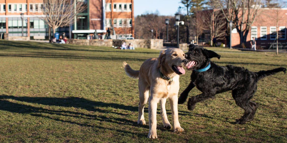 Find your best buds with ZeeMee!🐾

ZeeMee is an app that helps you to connect with other prospective Mountaineers, find your roommate, chat with current students, and explore everything App State has to offer!
Download ZeeMee using our LinkInBio today!