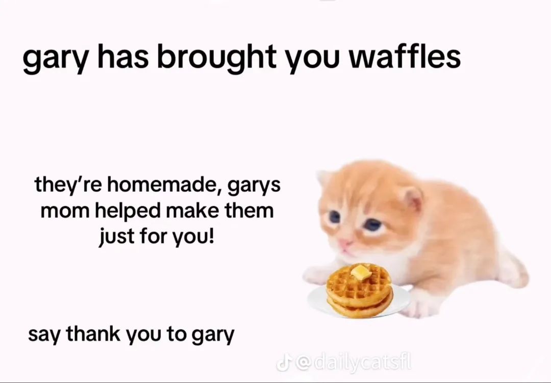 Catsillyness's tweet photo. Thank you Gary https://t.co/w9LpgXUO7s