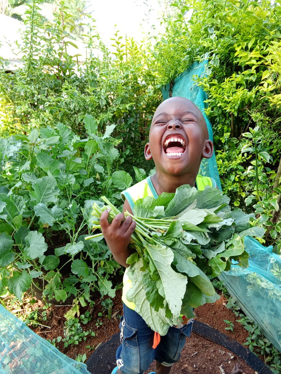 100humanitarian's tweet photo. A picture really is worth 1000 words. 

#100humanitarians 
#endglobalhunger 
#gardentowers https://t.co/hYZ969GtoK