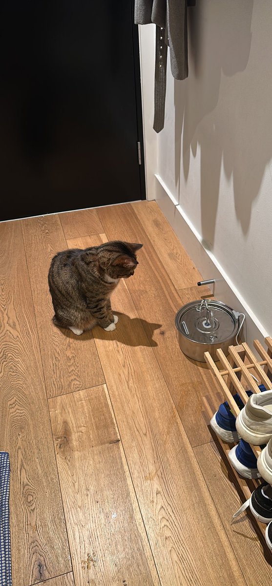 I wish someone looked at me the way Stanley looks at his Christmas present.