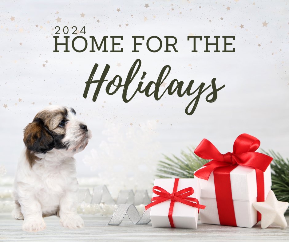 Long Way Home Adoptables tweet media