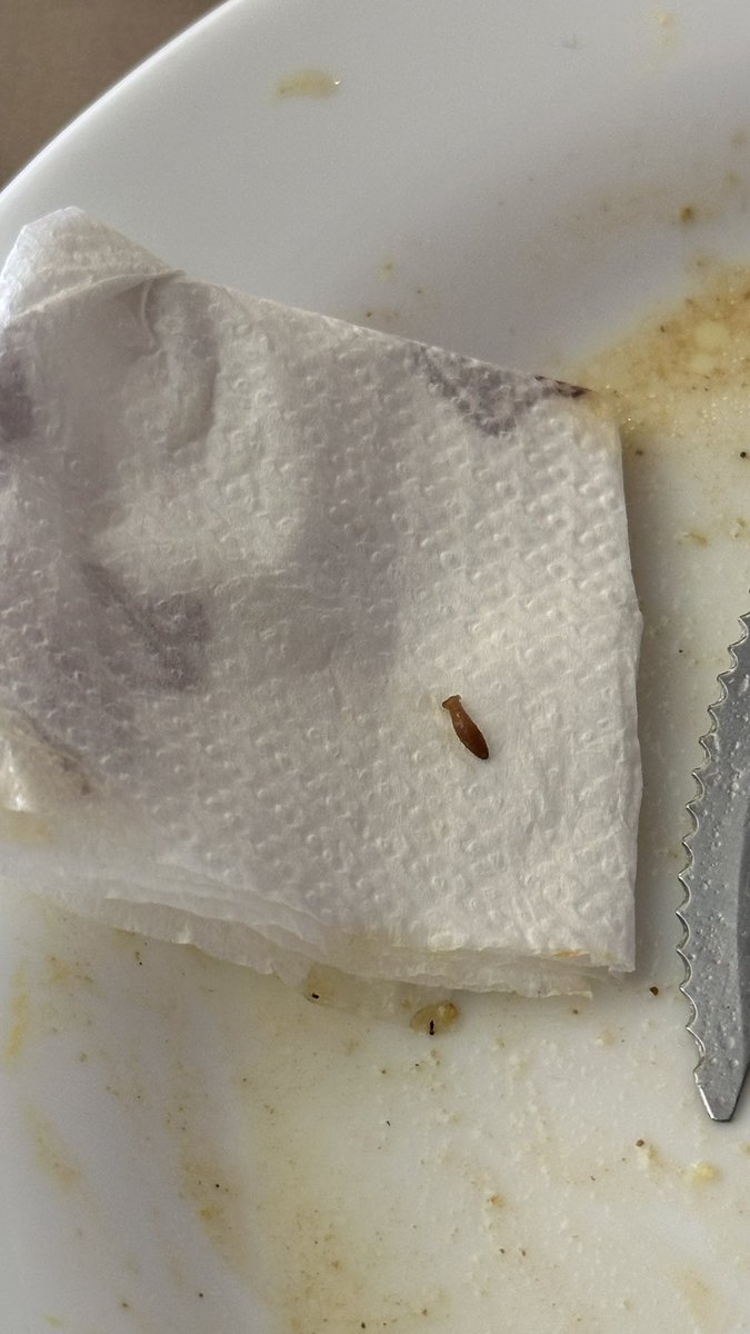 Quiero agradecer a las funcionarias de la <a href="/lanegritapanad/">Panadería La Negrita S.R.L.</a> Panadería La Negrita del centro, por la buena atención al cambiarme el plato con moscas por otra con gusanos, estaba mas rico.  🪰🪱🐛#lanegritapy   #asuncion #Paraguay