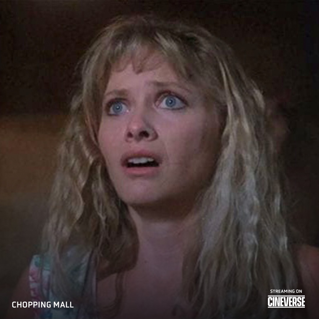 Cineverse_ent's tweet image. Happy Birthday, @barbaracrampton! 🎂

Celebrate with a double feature of ONYX THE FORTUITOUS AND THE TALISMAN OF SOULS and the cult favorite CHOPPING MALL, both streaming now on Cineverse!

#HorrorLegend #DoubleFeature