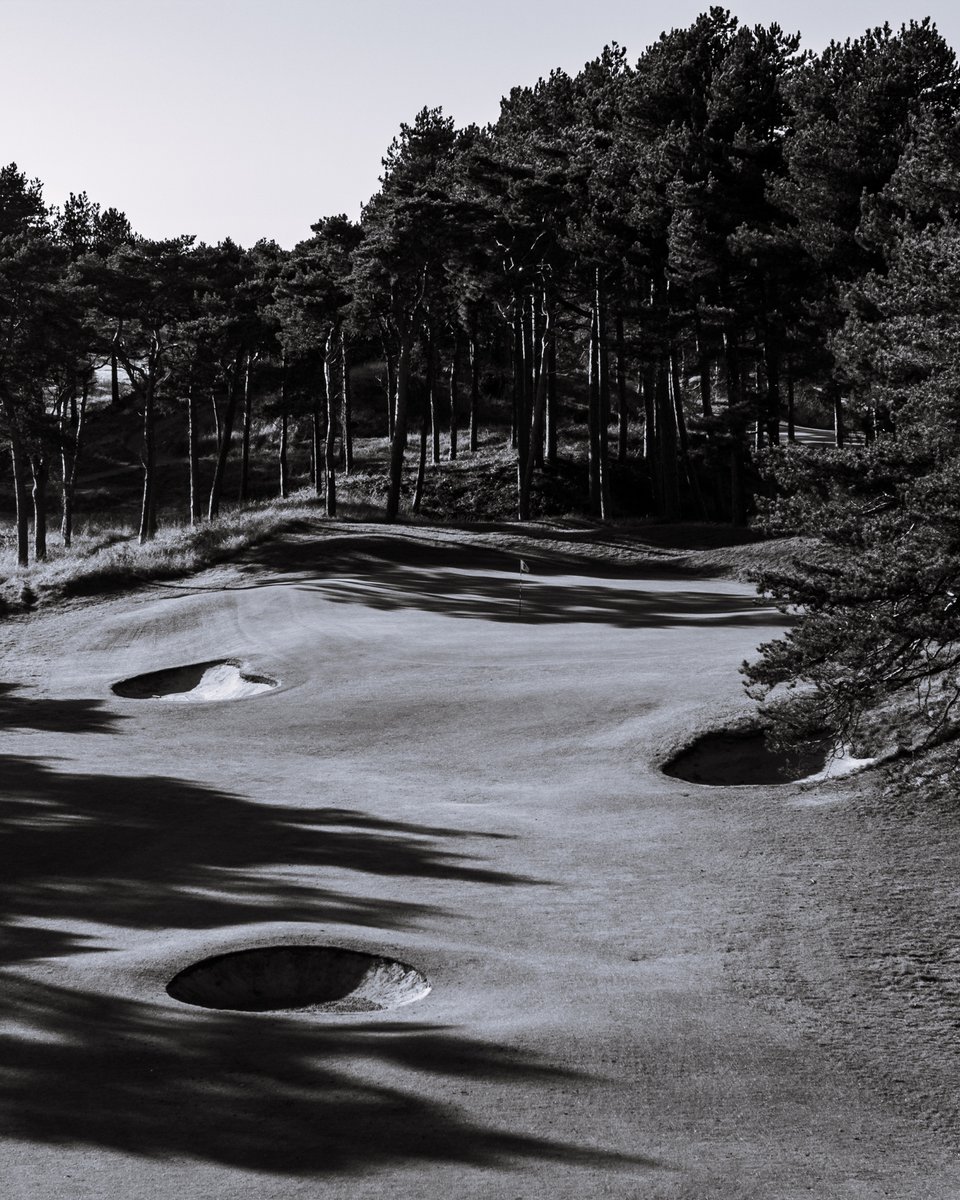 Our 4th green, perched into a hillock against a backdrop of tall pines.