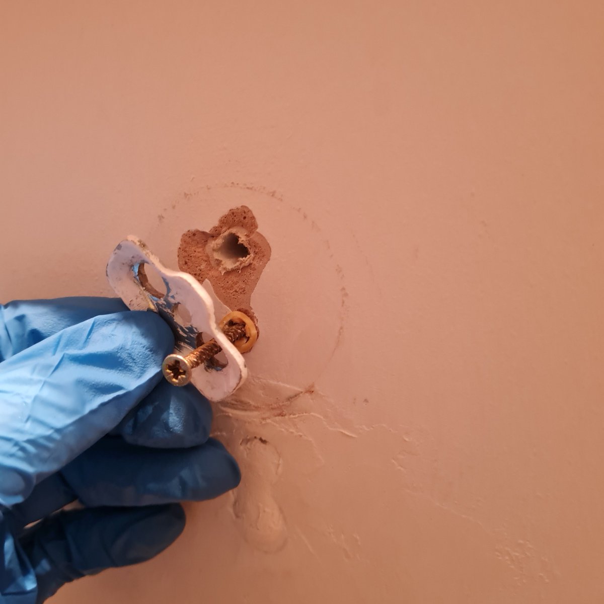 WEST SYSTEM Epoxy tweet media