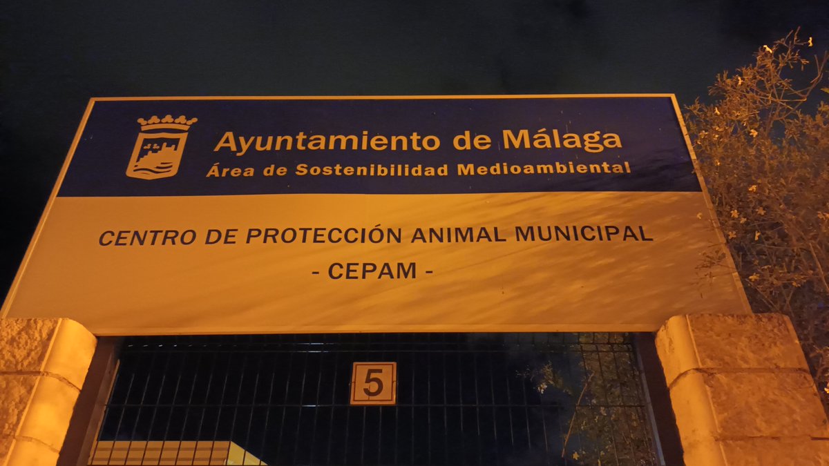 🆘 Encierro Bombero Mlg 🚒 tweet media