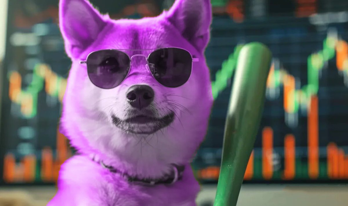purplebonk's tweet photo. @bonk_inu Merry BURNmas, time to reclaim no1 spot💜 #LetsBONK https://t.co/E8baD3j33Q