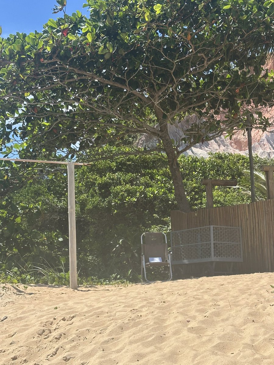 Marcus Grassano tweet media