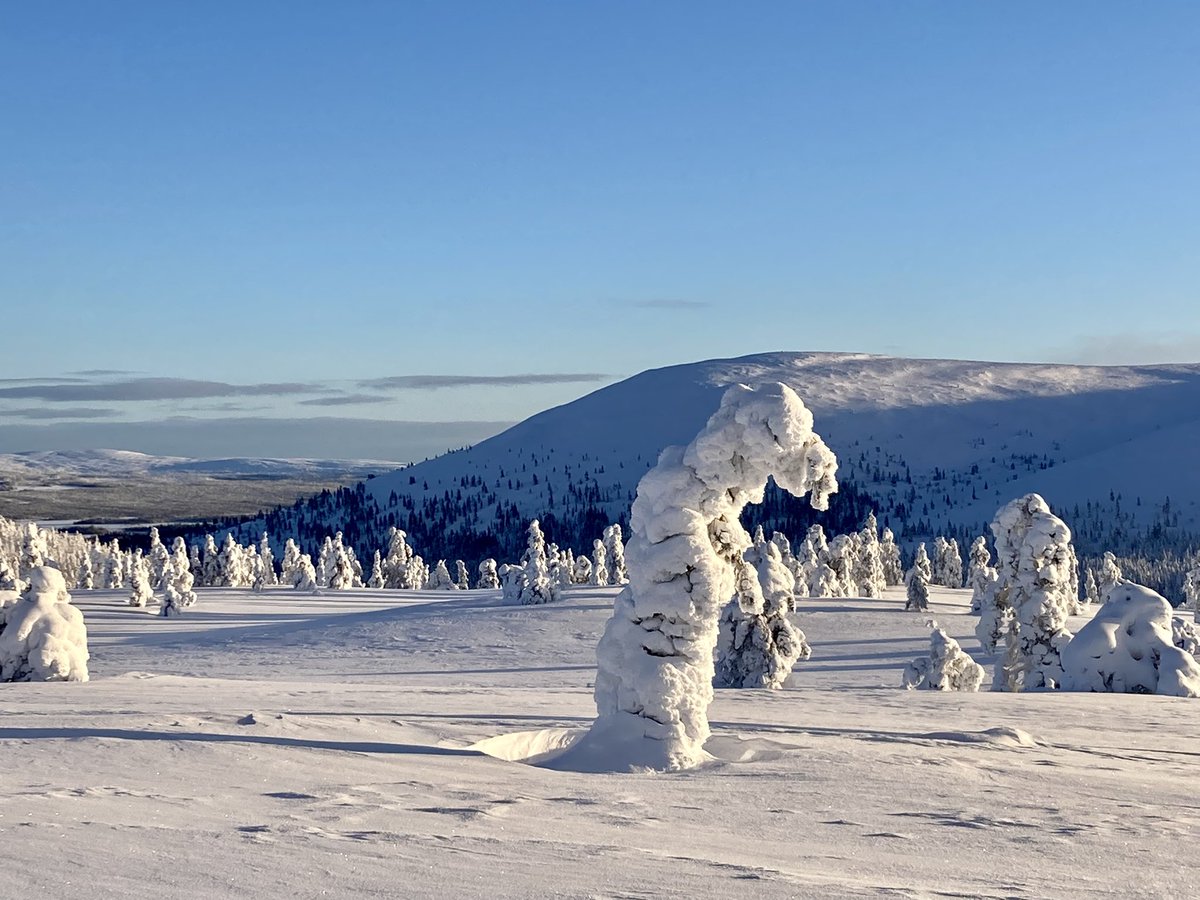 PRegsegger's tweet photo. @Matt_Pinner Finnland 🤩 https://t.co/GNkMkggCCY