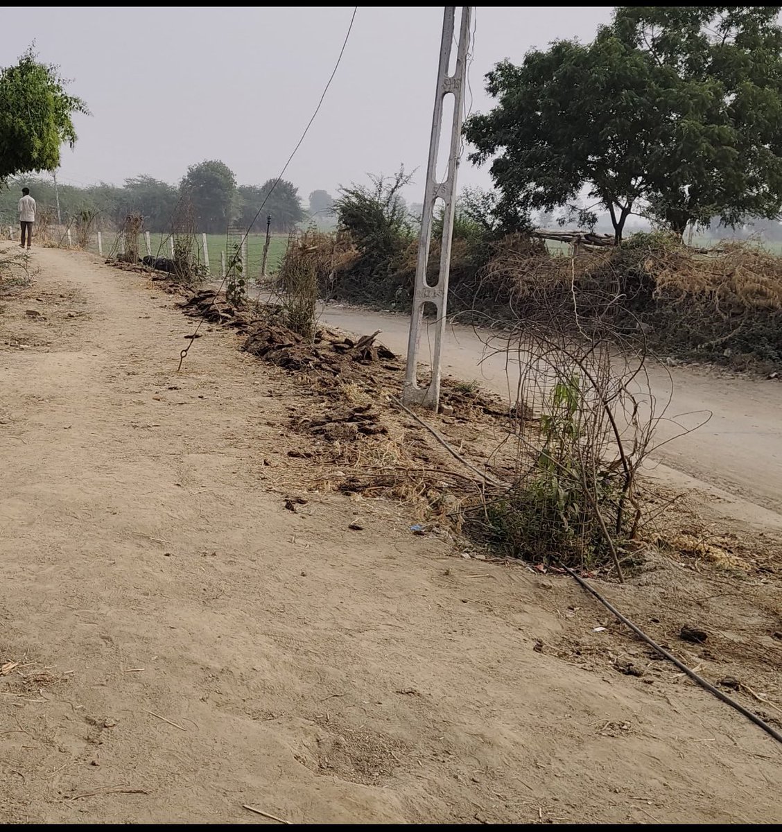 આજરોજ શેરગઢ ગામે ગ્રામ પંચાયત દ્વારા વાવેલ વૃક્ષોને સમયસર પુરતું પાણી મળી રહે તે માટે ઉત્સાહી ગ્રામ સેવક શ્રી મુકેશભાઈ , સરપંચશ્રી અને ગામના યુવાનોના સાથથી ટપક સિંચાઈ પદ્ધતિ લગાવવમાં આવી .