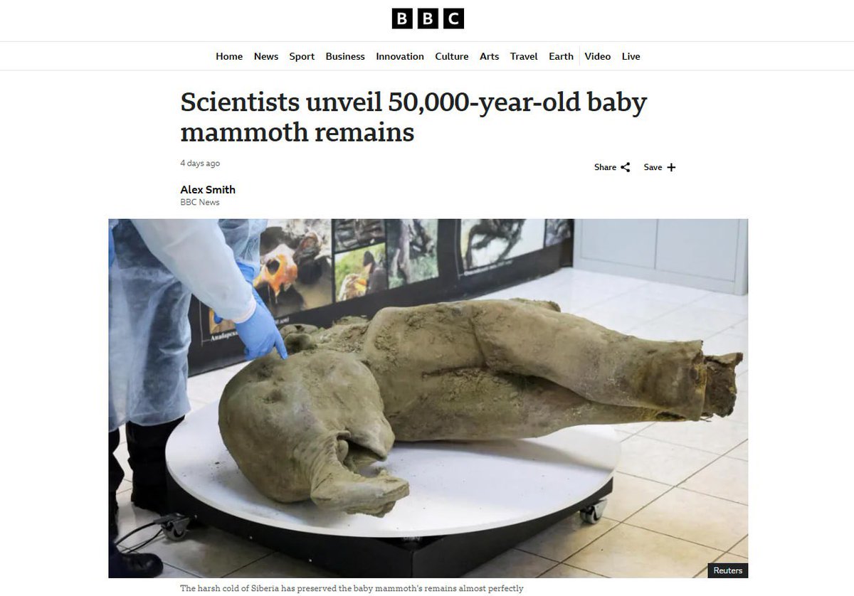 FiftyCal24's tweet photo. @ElonMuskAOC Mammoth Baby $YANA just bonded on pumpfun its going to send hard on ray 🚀

Next $PNUT?

D5AjKoGssb97RVbK1rpKRiK4y9z4a9V8NWq5dDbSpump https://t.co/Aa97H3tY48