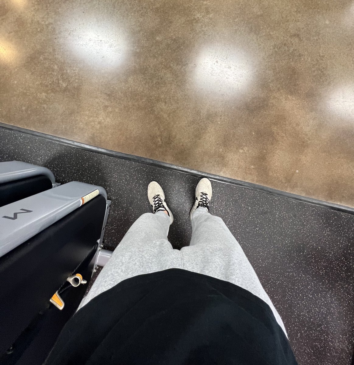 biev🦫 tweet media