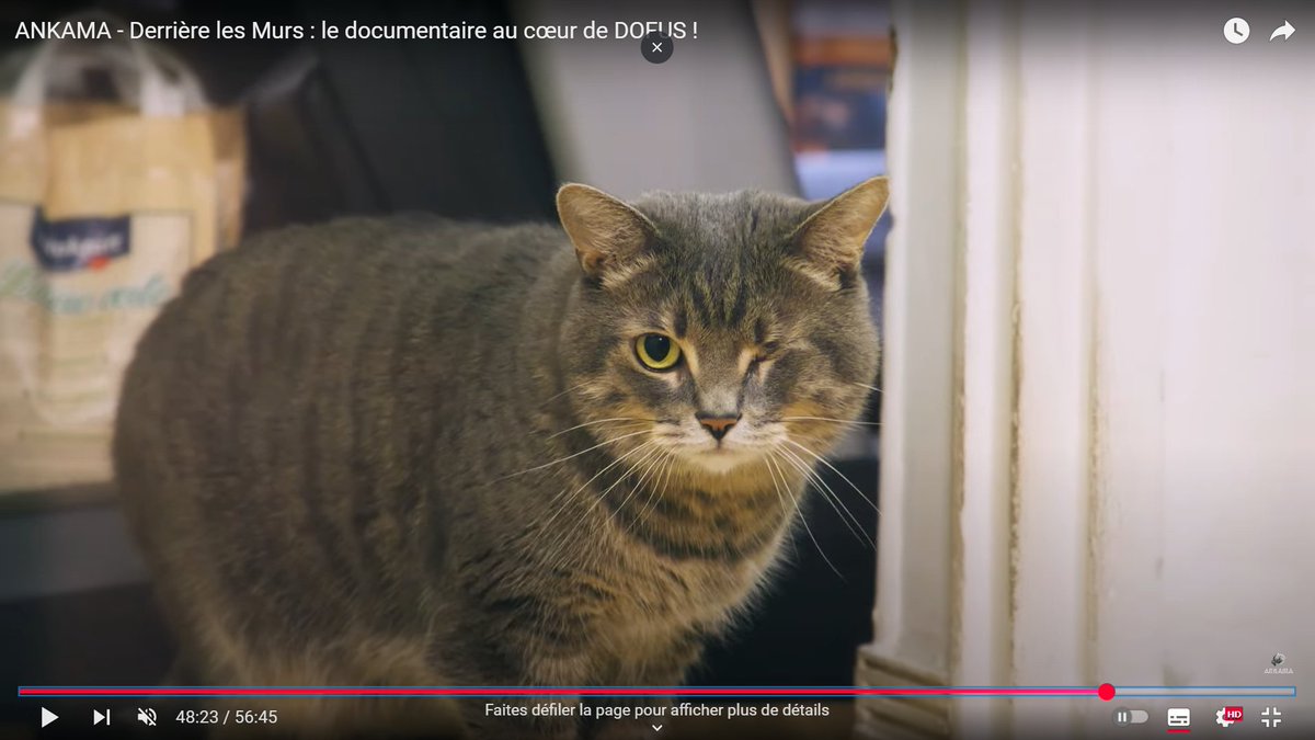 Humility - Pierre tweet media