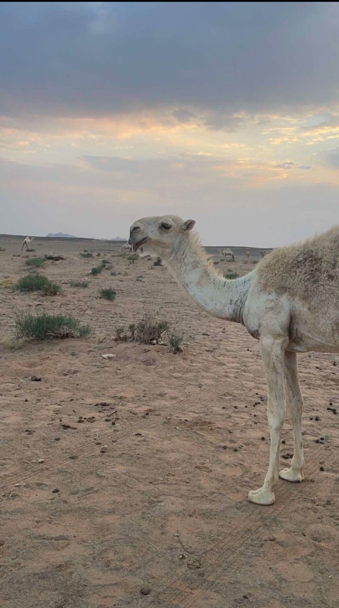 من تصويري الله يبارك فيها