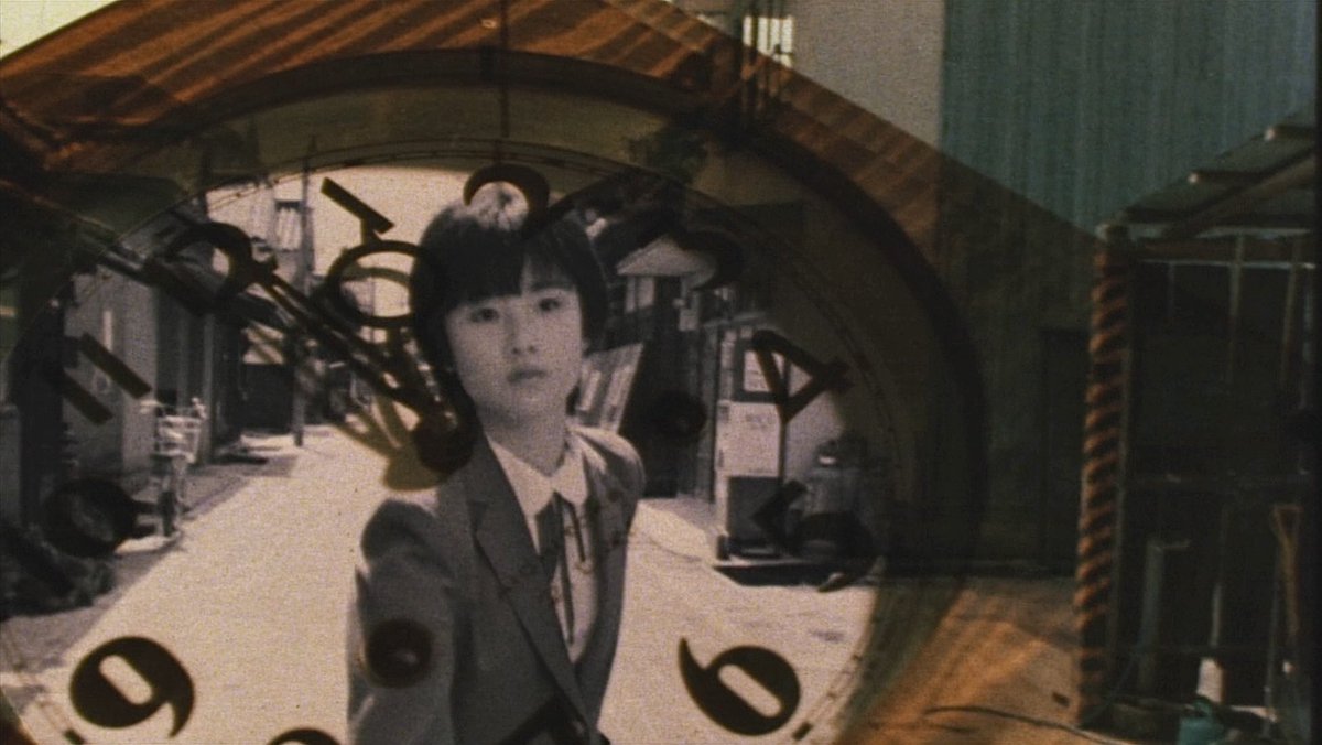 Amorphophallus 🦖 tweet media