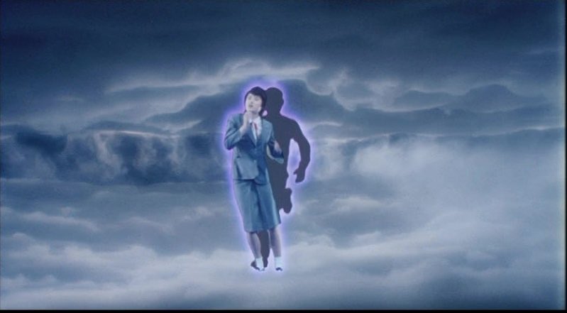 Amorphophallus 🦖 tweet media