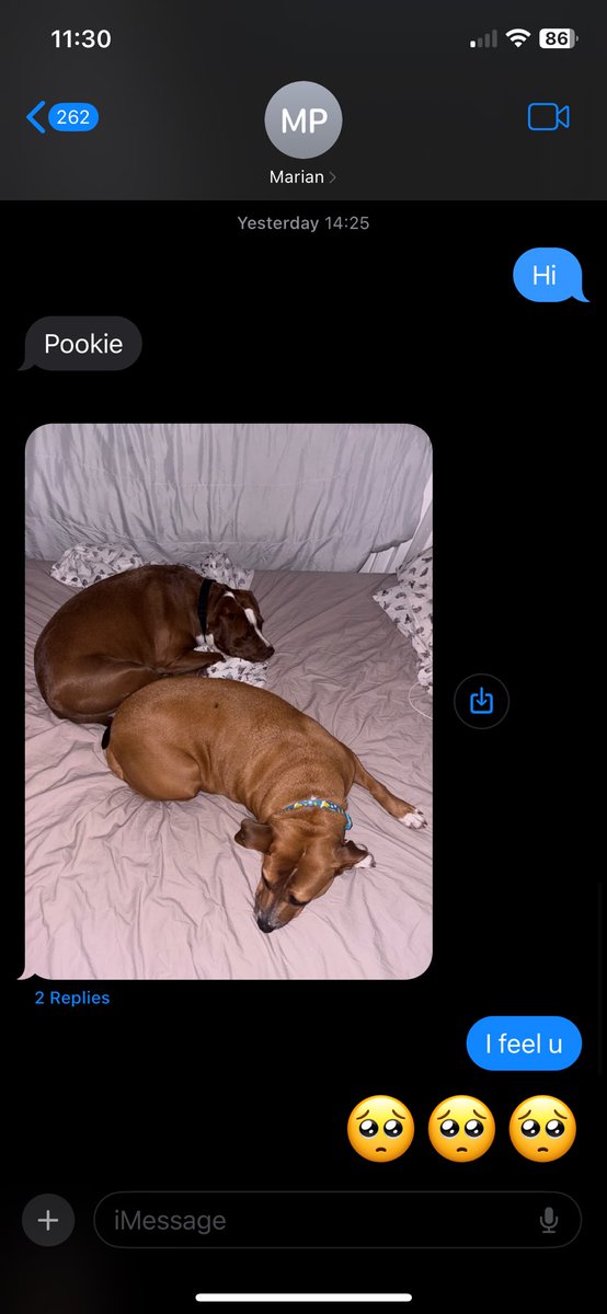 esterslife's tweet photo. @celticsin4mph and I will text once a month and this will be the conversation https://t.co/ZmlmuKB3tk