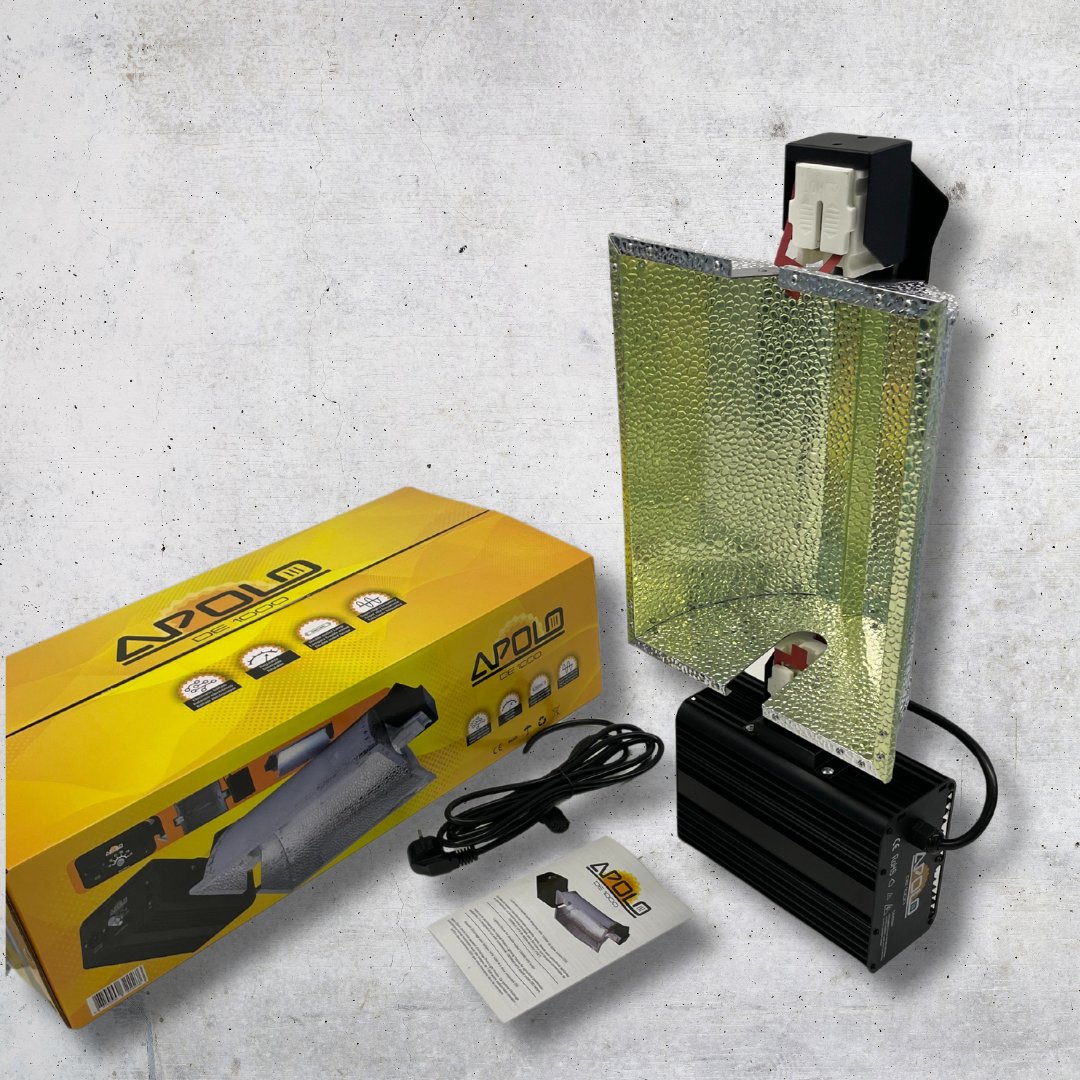 The Pure Factory tweet media