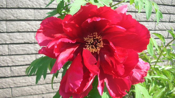 kamisama_kotoba's tweet image. This is a journey of recognizing your richness and deepening self-love.

自らの豊かさに気づき自愛を深める旅です。
#awareness #気づき