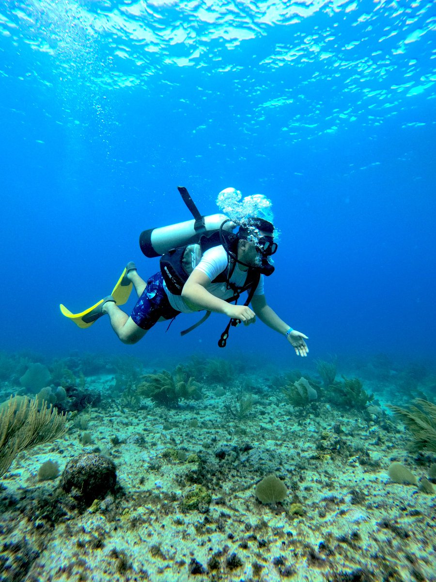 AlvaroBeltran5's tweet photo. 🐠🌊🐟🤿 https://t.co/zopDzOpgUn