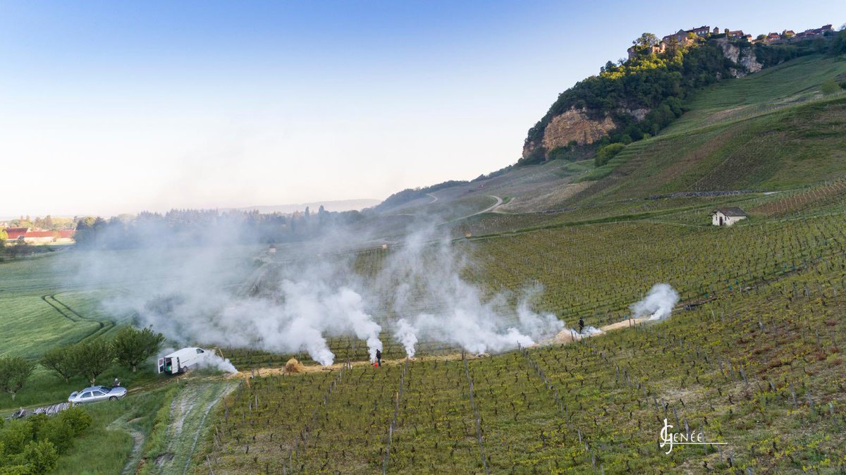 CircleofWineWriters (@circleofwine) on Twitter photo The first <a href="/CircleofWine/">CircleofWineWriters</a> Let’s Talk webinar of 2025 will be about Jura Wine Ten Years On with <a href="/CircleofWine/">CircleofWineWriters</a> Committee member and Jura wine expert <a href="/WinkLorch/">Wink Lorch</a> on Tuesday 7th January 5pm GMT. Contact <a href="/sueeames3/">Sue Eames DipWSET</a> for the link. Photo credits: <a href="/photo_matt66/">Matt Wilson</a> & Jerome Genee The first <a href="/CircleofWine/">CircleofWineWriters</a> Let’s Talk webinar of 2025 will be about Jura Wine Ten Years On with <a href="/CircleofWine/">CircleofWineWriters</a> Committee member and Jura wine expert <a href="/WinkLorch/">Wink Lorch</a> on Tuesday 7th January 5pm GMT. Contact <a href="/sueeames3/">Sue Eames DipWSET</a> for the link. Photo credits: <a href="/photo_matt66/">Matt Wilson</a> & Jerome Genee