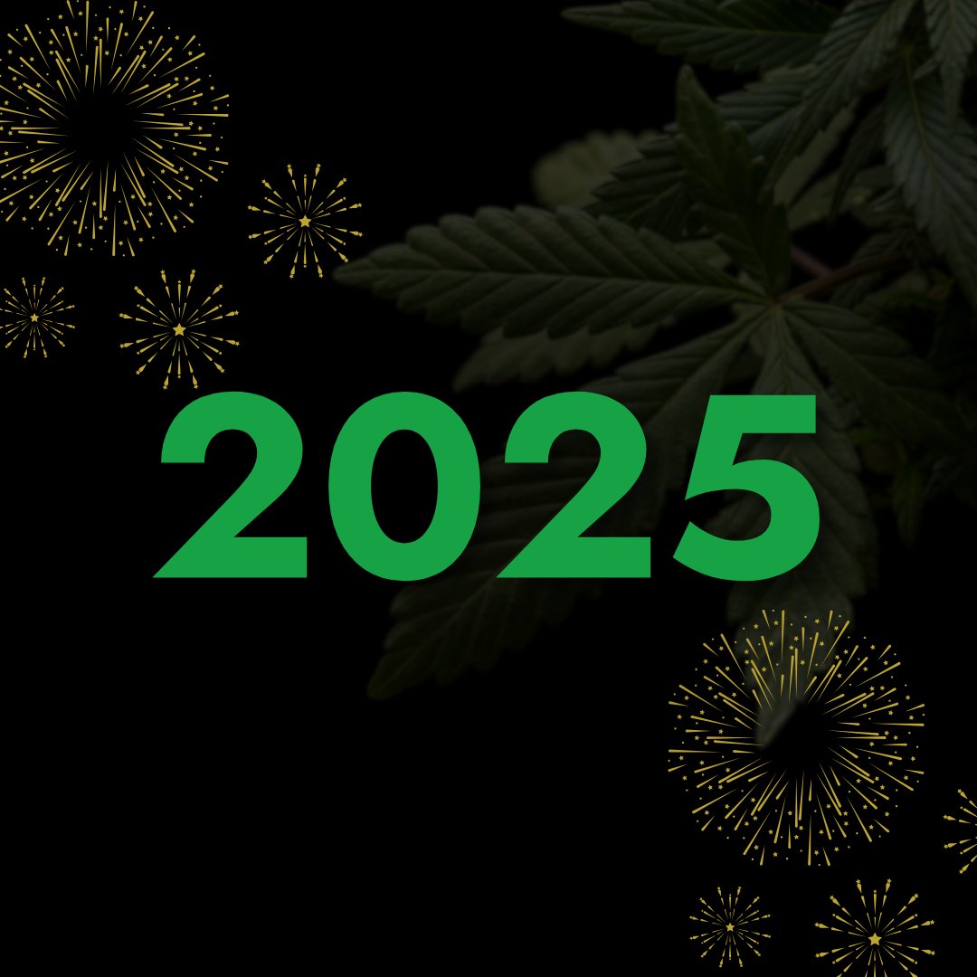 The Pure Factory tweet media