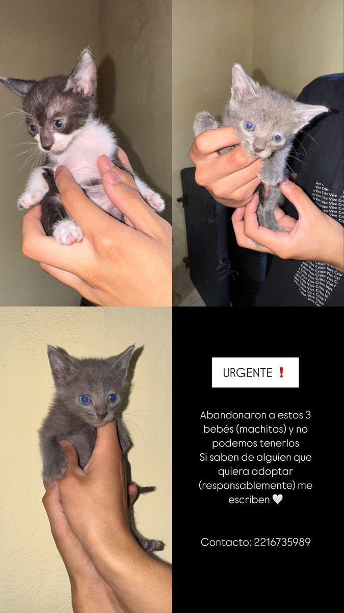 Todo ayuda 🙏🏽🫶🏽