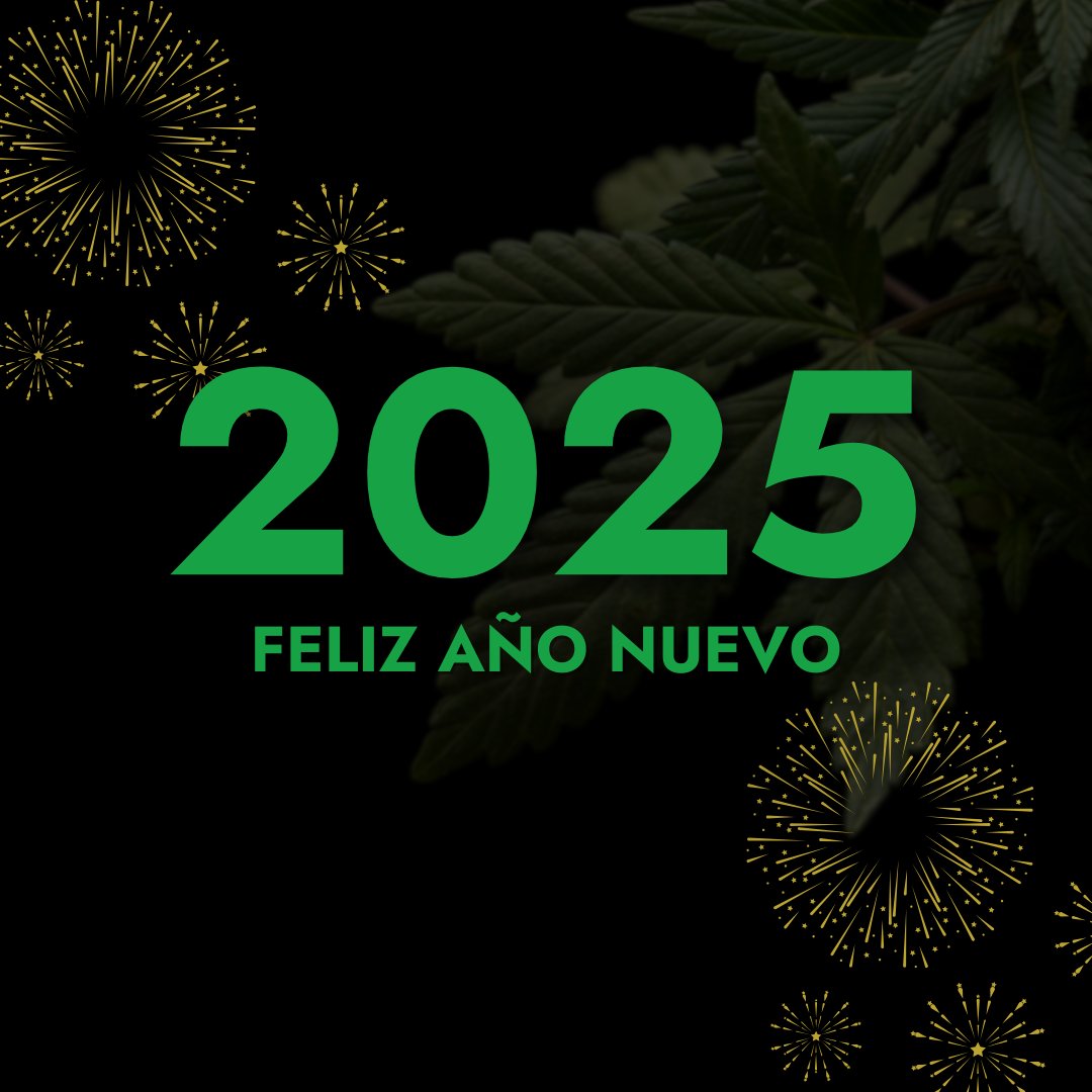 The Pure Factory tweet media