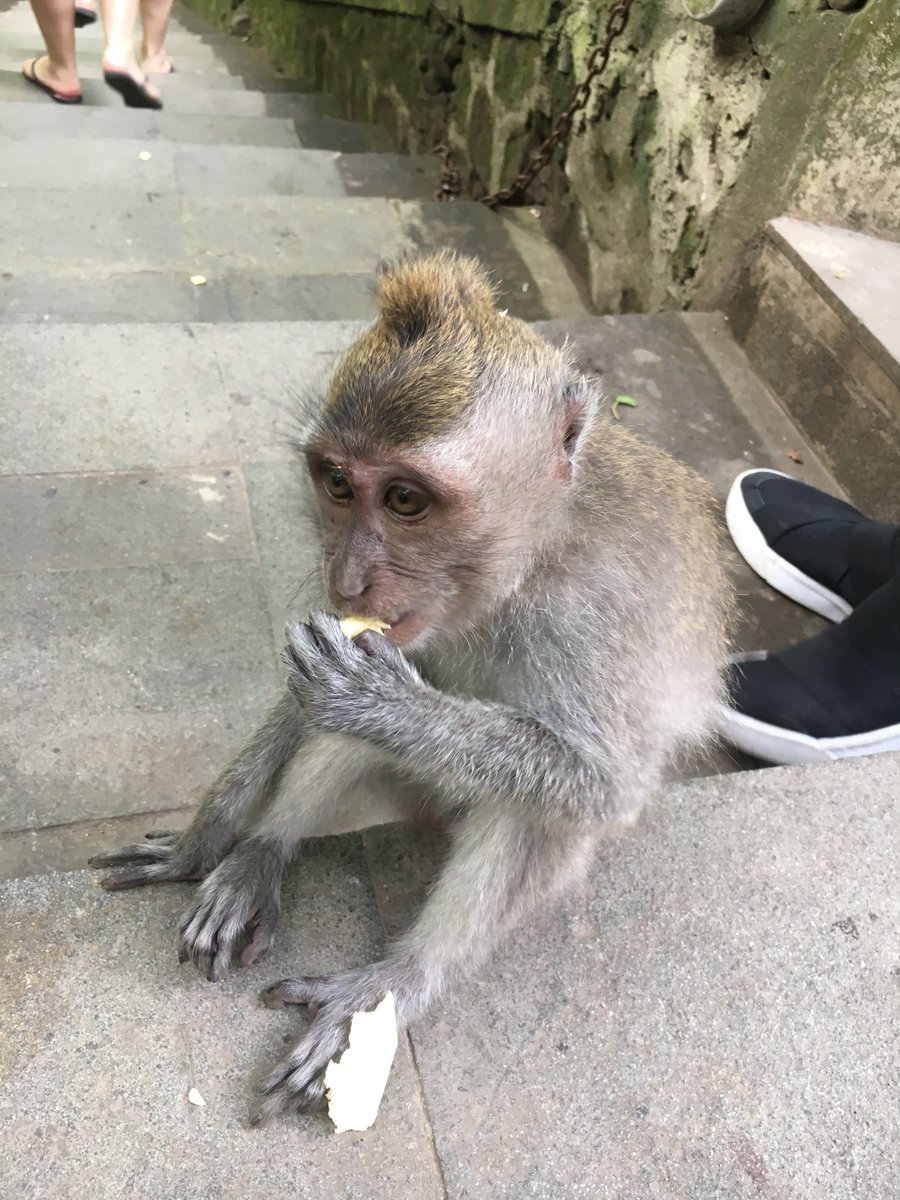 Anna David ✏️💰 tweet media