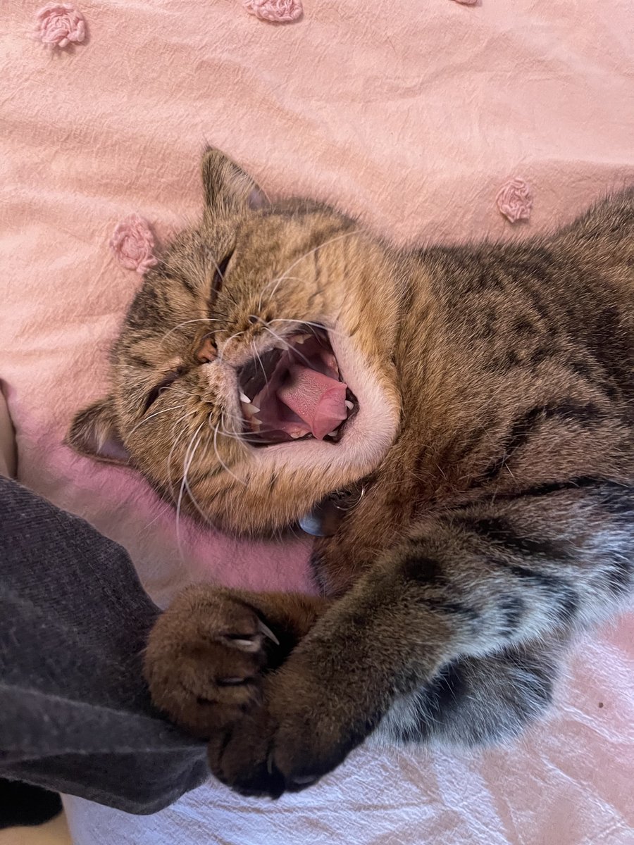 Anna David ✏️💰 tweet media