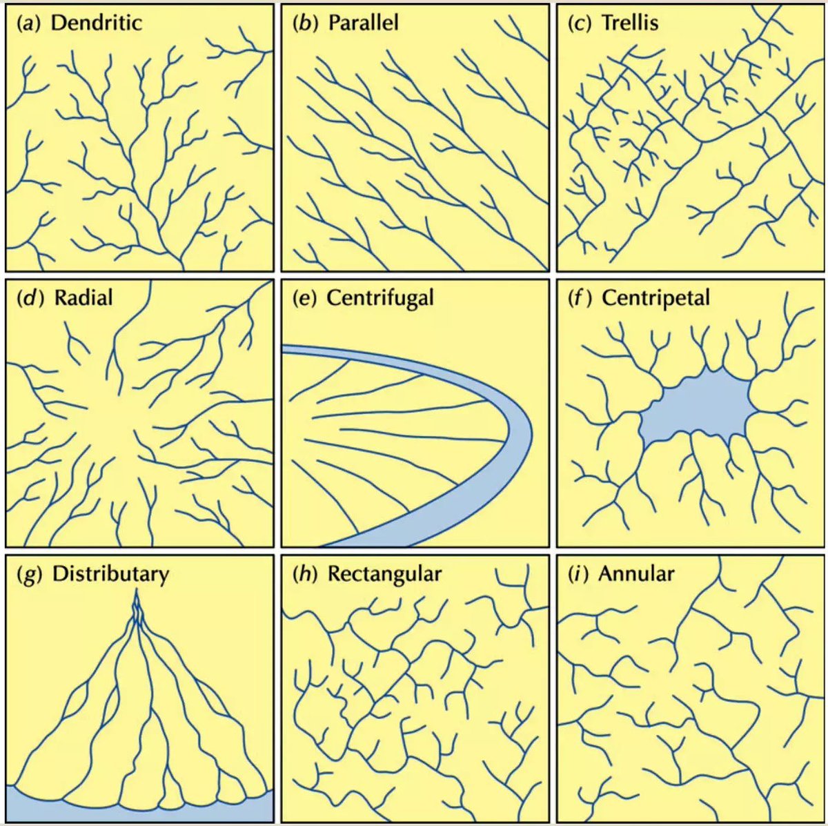 The nine enneagram types