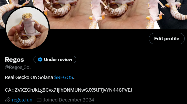 Regos_Sol's tweet photo. We are waiting for the Twitter account to be confirmed https://t.co/cEiDfdhEIW