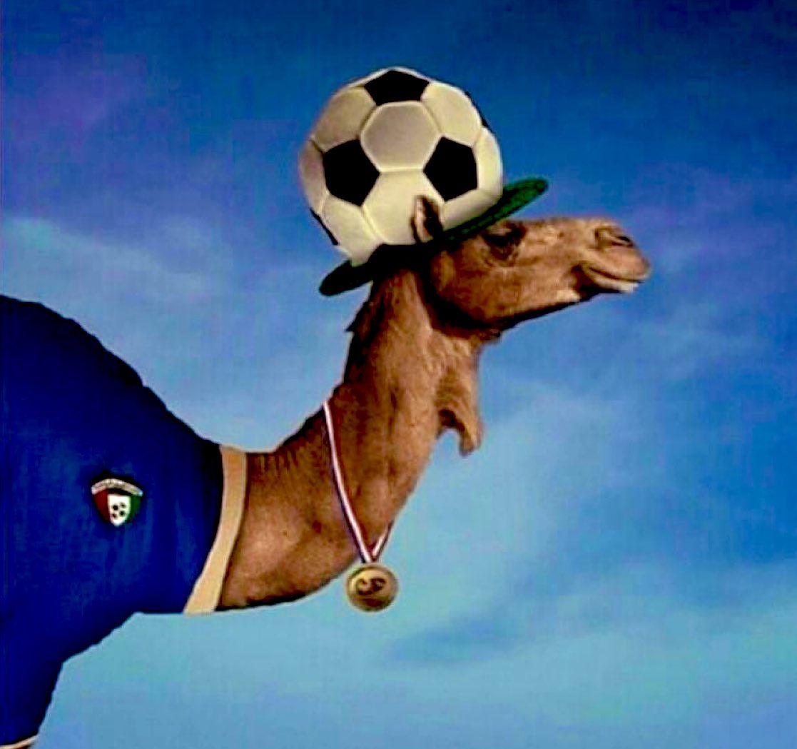 مبروك التأهل يا أبطال💙 

#الكويت #خليجي26