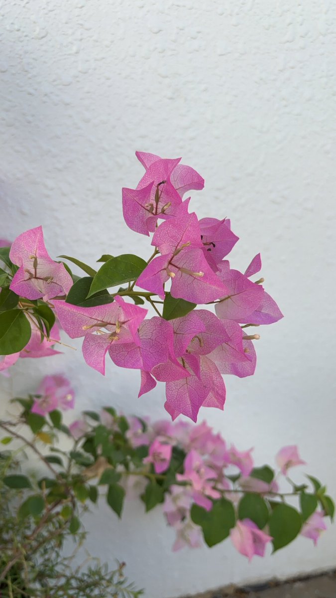 اللهم 
إني وليتك أمري ، فأعوذ بك يا حي يا قيوم من سوء حظي وضيق صدري ومن فراغ صبري ، واجعلني يّـ رب ممن نظرت إليه فرحمته