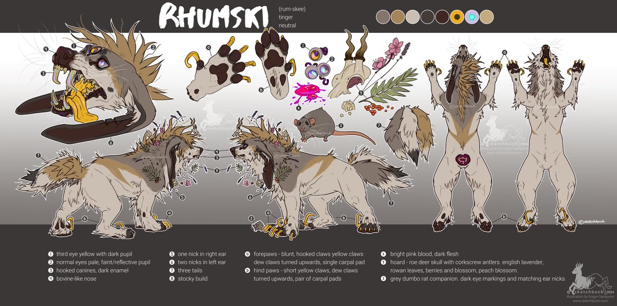 Sketchbuck tweet media