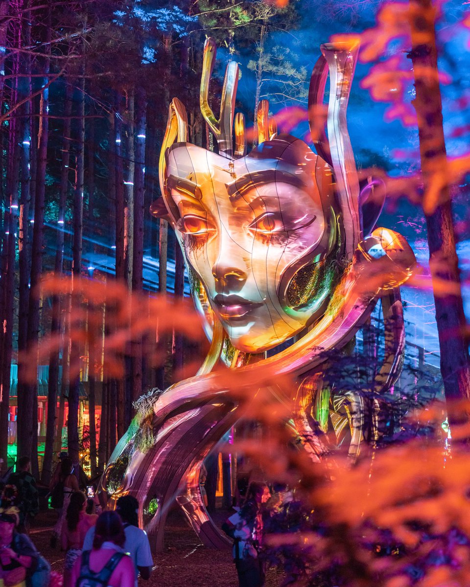 Electric_Forest's tweet photo. Best holiday light show on the block (not biased). https://t.co/FK1aDEdZyt