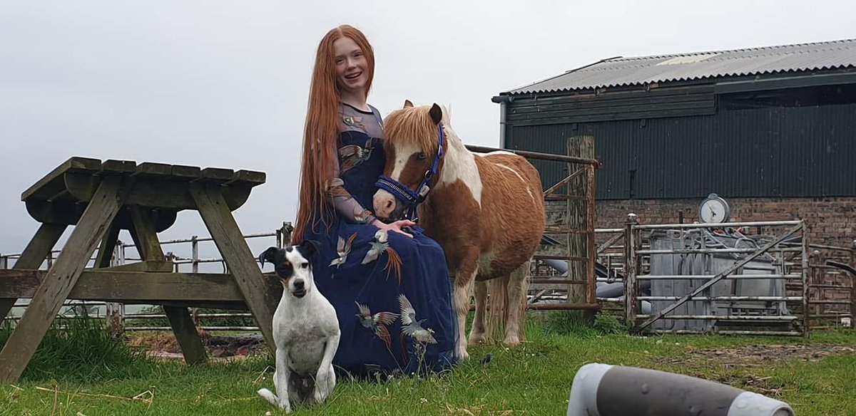 Arnbeg's tweet photo. Ivy was my antidepressant
Please bear with me whilst I adjust to my new meds (Rita & Mavis) 💔
#arnbegfarmstayscotland #ivy #parsonsjackrussell #parsonsrussell #pjrt #antidepressant #myheart❤️ #myhearthurts https://t.co/WFjm3esmro