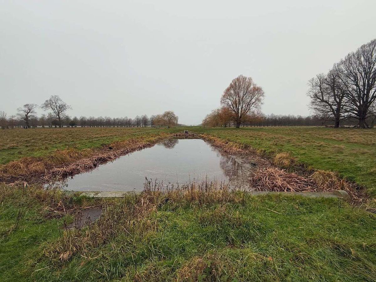 Timothy_Hughes's tweet photo. Home Park #homepark #kingston #kingstonuponthames #hamptonwick #hamptonwick #hamptoncourt #london #londonpark #londonparks #londonist #londoner #londoners #londonerslondon #londonerslife #park #parkwalk #parkwalks #friday #fridaywalk #fridaywalks #walk #… https://t.co/FMiM1NeQ2L https://t.co/cRqfWQeJGp