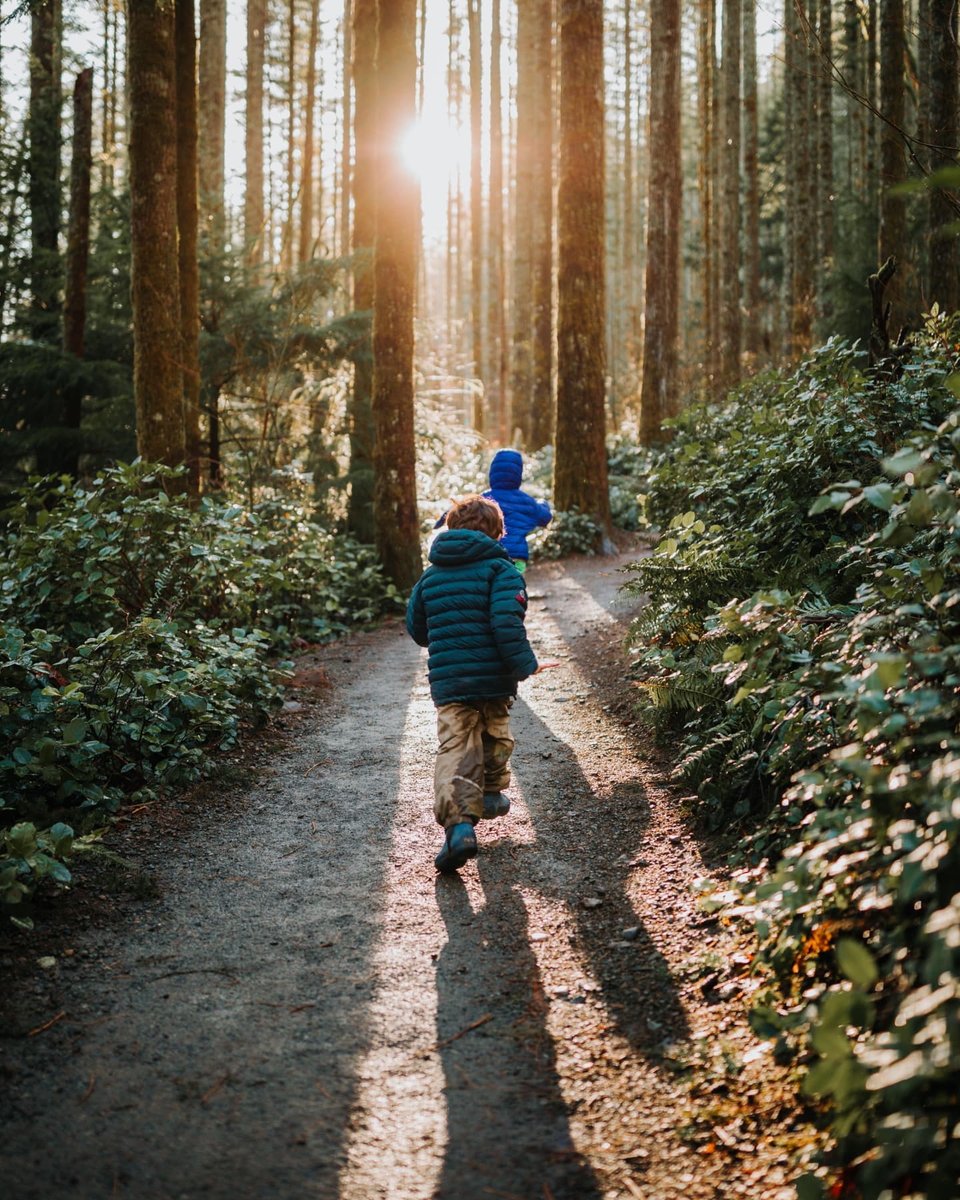 Where will you wander with #AllTrails this weekend? Tell us below 👇 and show us how you #GetOutThere!

📸 @the.trekking.mama 
📍Washington
bit.ly/3ZOJ6s5

#explorewashington #hikingtrails #exploreoutdoors