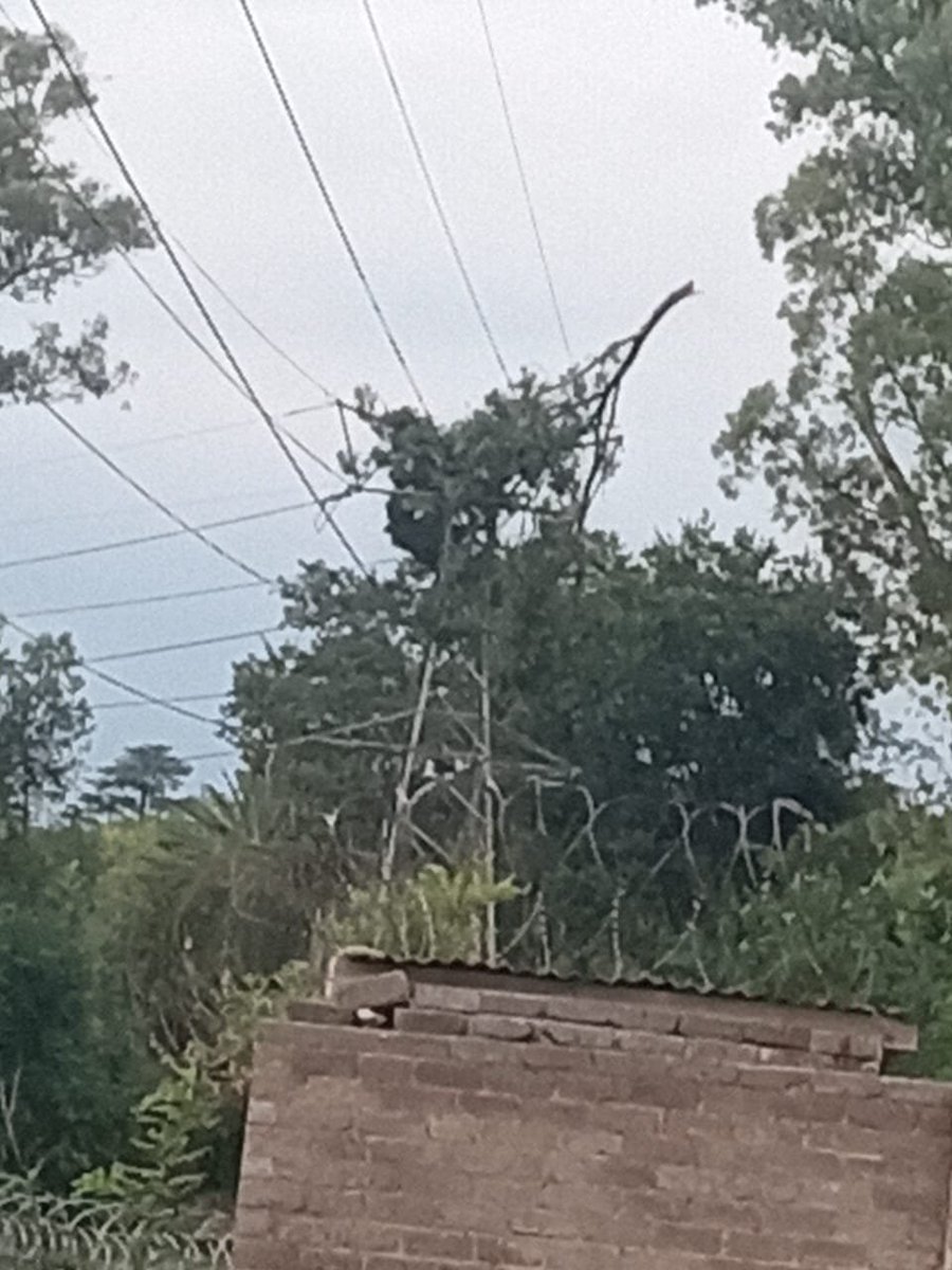 @CityPowerJhb tweet media