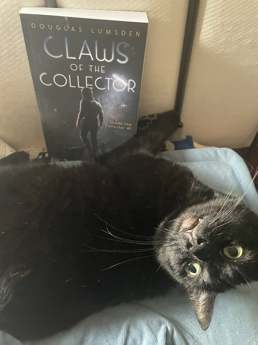 My cat, Prince, suggests that you end this year (or start the next one) by reading his favorite urban fantasy adventure, Claws of the Collector, in which he plays a starring role. Prince has great taste in books!

amazon.com/dp/B0DBRNHMTB