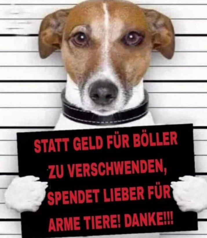 SPENDEN STATT BÖLLERN!!! 
Bitte verzichtet für die Tiere auf die Knallerei und anstatt euer Geld für Raketen und Knallkörper zu verprassen, spendet lieber an arme Tiere in Tierschutzeinrichtungen!