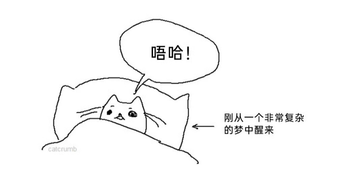 把猫吓醒了都