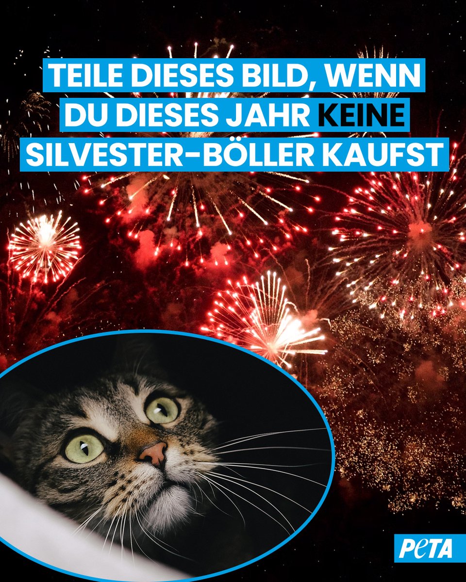Silvester-Feuerwerk ist nichts als eine Qual für alle Tiere. 
#böllerciao