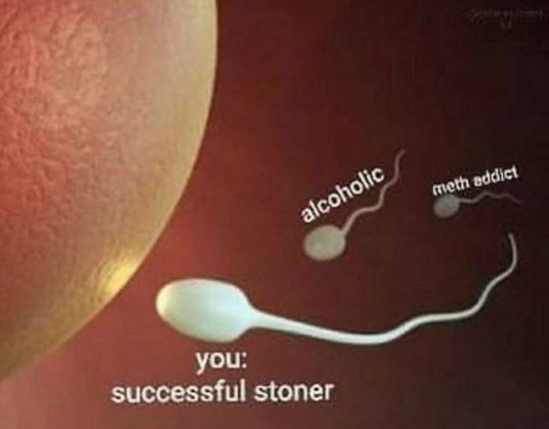 Stoner Barbie (@stonersvilla) on Twitter photo 