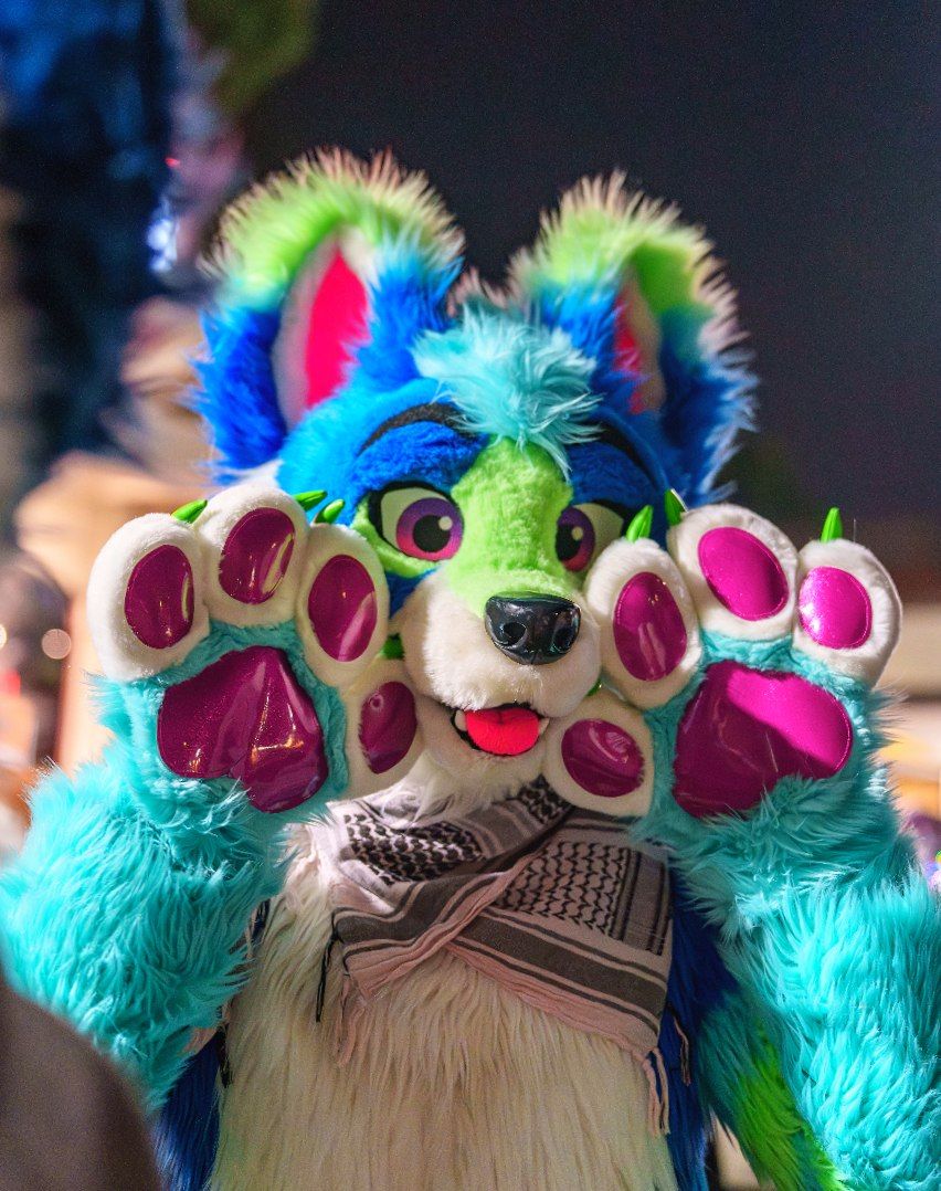 It is the last #FursuitFriday of the year!! I'm really grateful for all my friends and the awesome memories we were able to make this year 🥰✨️

📸 <a href="/SkylineYote/">Skyline</a>