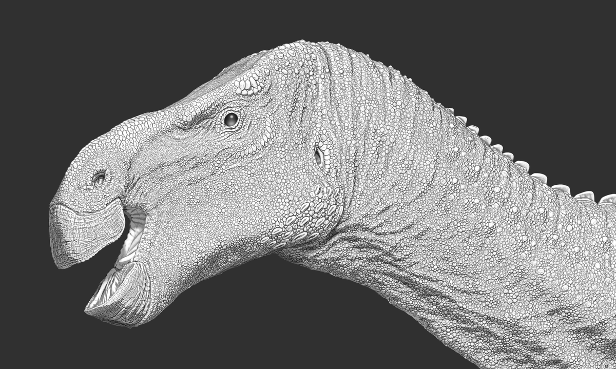 ArtofFabricious's tweet image. Quick reminder that I am moving more permanently over to where the skies are blue. If you want to keep updated on my shenanigangs and the process on this Iguanodon, come over yonder and find me there! :)