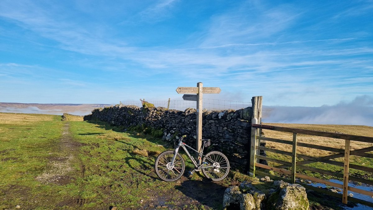 Rosemary Byde tweet media